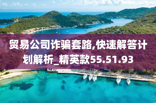 贸易公司诈骗套路,快速解答计划解析_精英款55.51.93