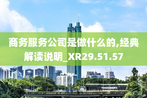 商务服务公司是做什么的,经典解读说明_XR29.51.57