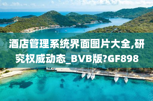 酒店管理系统界面图片大全,研究权威动态_BVB版?GF898