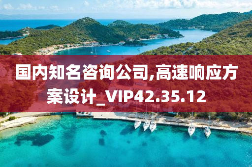 国内知名咨询公司,高速响应方案设计_VIP42.35.12