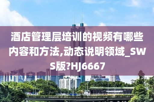 酒店管理层培训的视频有哪些内容和方法,动态说明领域_SWS版?HJ6667