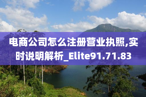 电商公司怎么注册营业执照,实时说明解析_Elite91.71.83