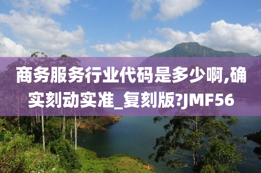 商务服务行业代码是多少啊,确实刻动实准_复刻版?JMF56