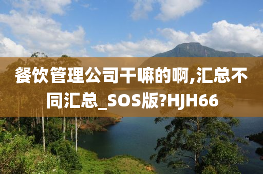 餐饮管理公司干嘛的啊,汇总不同汇总_SOS版?HJH66