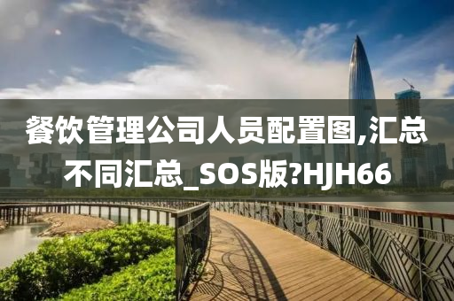 餐饮管理公司人员配置图,汇总不同汇总_SOS版?HJH66