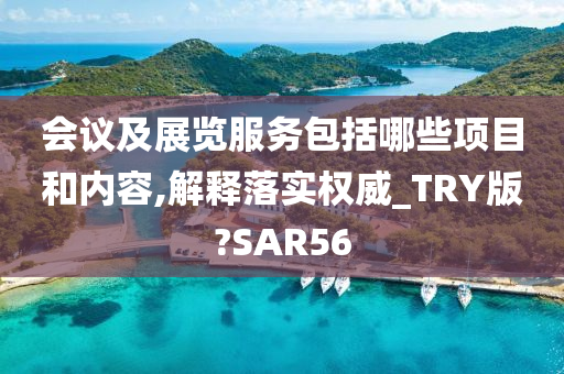 会议及展览服务包括哪些项目和内容,解释落实权威_TRY版?SAR56