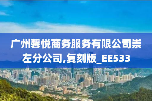 广州馨悦商务服务有限公司崇左分公司,复刻版_EE533