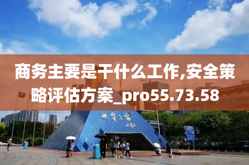 商务主要是干什么工作,安全策略评估方案_pro55.73.58