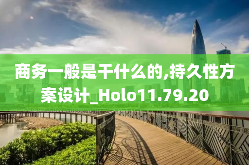 商务一般是干什么的,持久性方案设计_Holo11.79.20