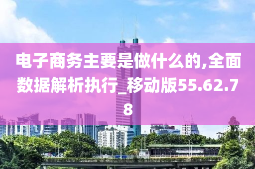 电子商务主要是做什么的,全面数据解析执行_移动版55.62.78