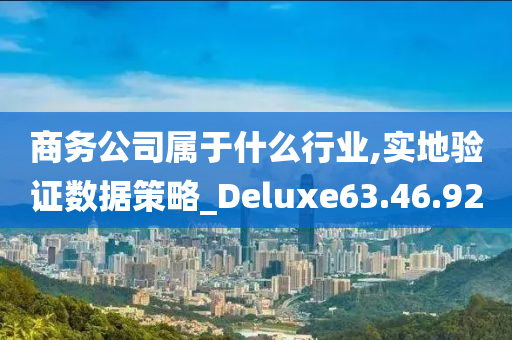 商务公司属于什么行业,实地验证数据策略_Deluxe63.46.92