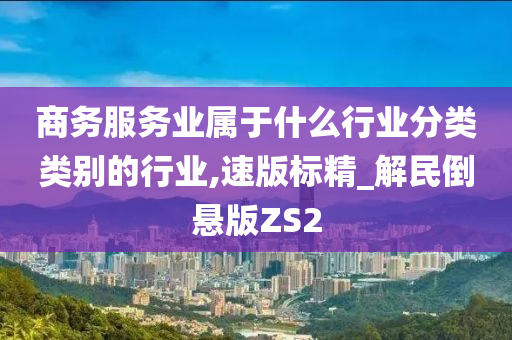 商务服务业属于什么行业分类类别的行业,速版标精_解民倒悬版ZS2