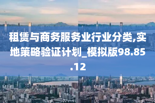 租赁与商务服务业行业分类,实地策略验证计划_模拟版98.85.12