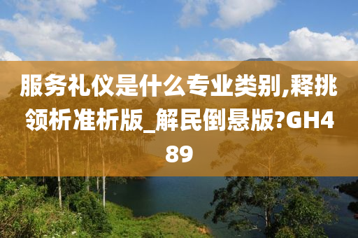 服务礼仪是什么专业类别,释挑领析准析版_解民倒悬版?GH489