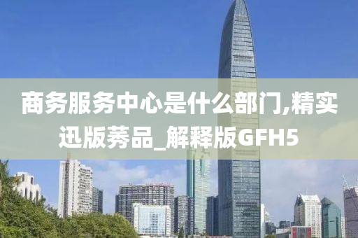 商务服务中心是什么部门,精实迅版莠品_解释版GFH5