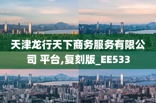 天津龙行天下商务服务有限公司 平台,复刻版_EE533