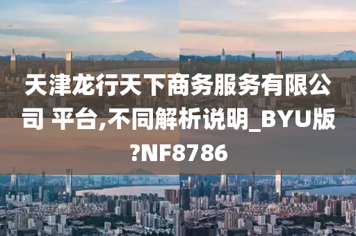 天津龙行天下商务服务有限公司 平台,不同解析说明_BYU版?NF8786