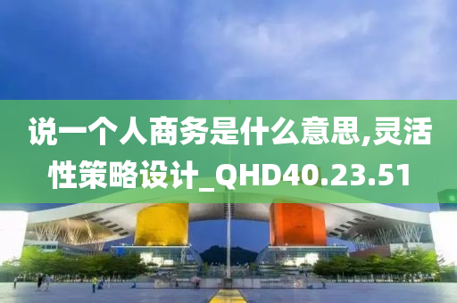 说一个人商务是什么意思,灵活性策略设计_QHD40.23.51