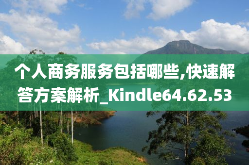 个人商务服务包括哪些,快速解答方案解析_Kindle64.62.53