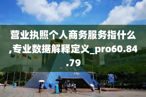 营业执照个人商务服务指什么,专业数据解释定义_pro60.84.79