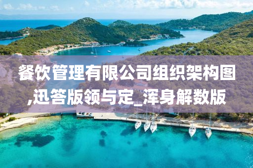 餐饮管理有限公司组织架构图,迅答版领与定_浑身解数版