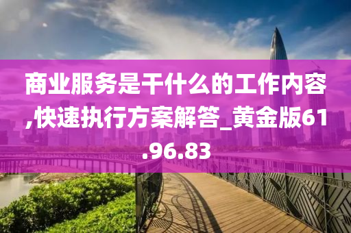 商业服务是干什么的工作内容,快速执行方案解答_黄金版61.96.83