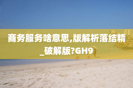 商务服务啥意思,版解析落结精_破解版?GH9