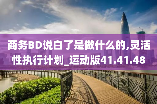 商务BD说白了是做什么的,灵活性执行计划_运动版41.41.48