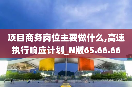 项目商务岗位主要做什么,高速执行响应计划_N版65.66.66