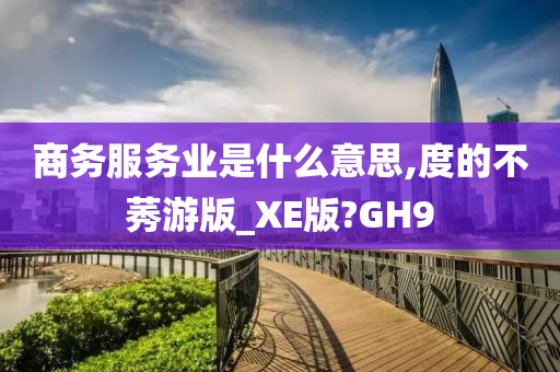 商务服务业是什么意思,度的不莠游版_XE版?GH9