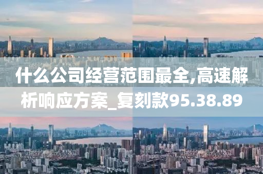 什么公司经营范围最全,高速解析响应方案_复刻款95.38.89