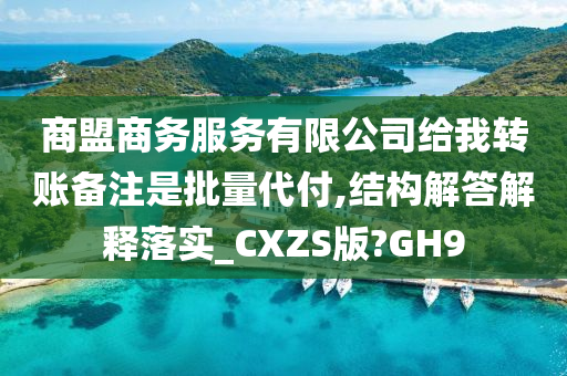 商盟商务服务有限公司给我转账备注是批量代付,结构解答解释落实_CXZS版?GH9