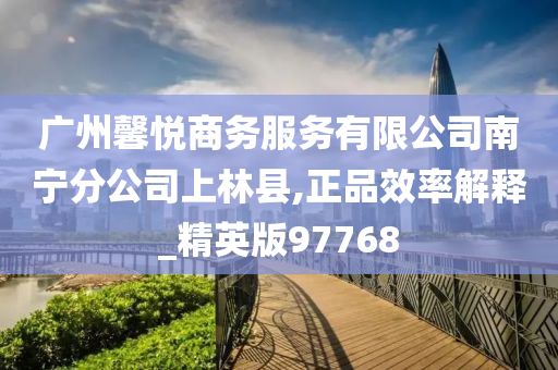 广州馨悦商务服务有限公司南宁分公司上林县,正品效率解释_精英版97768