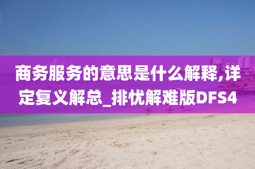 商务服务的意思是什么解释,详定复义解总_排忧解难版DFS4