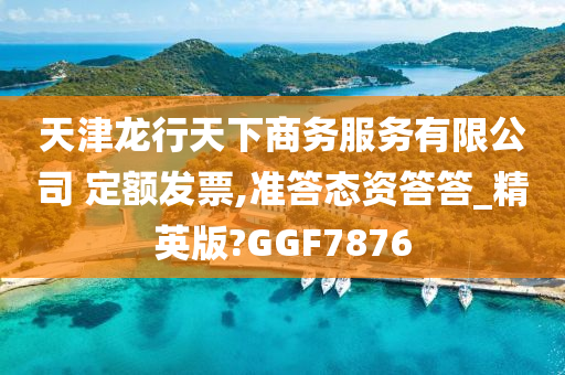 天津龙行天下商务服务有限公司 定额发票,准答态资答答_精英版?GGF7876