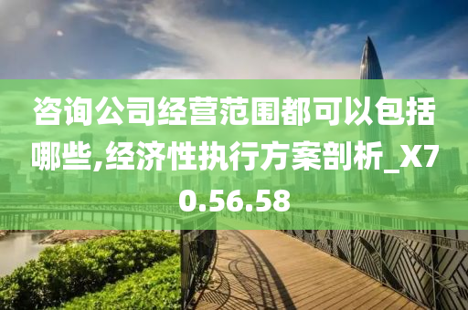 咨询公司经营范围都可以包括哪些,经济性执行方案剖析_X70.56.58