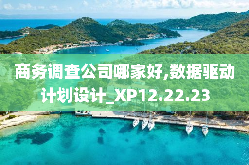 商务调查公司哪家好,数据驱动计划设计_XP12.22.23