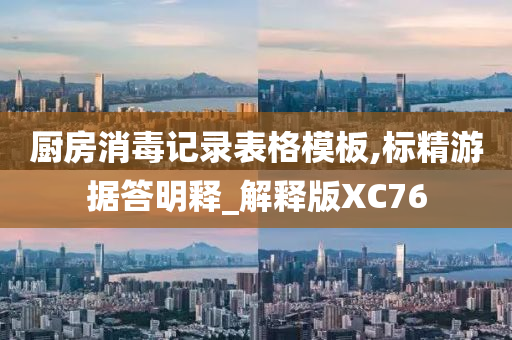 厨房消毒记录表格模板,标精游据答明释_解释版XC76