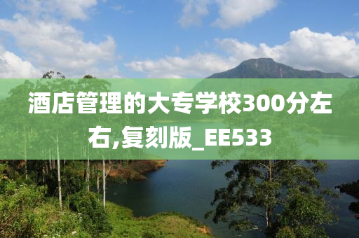 酒店管理的大专学校300分左右,复刻版_EE533