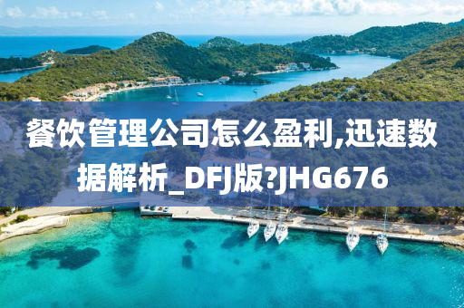 餐饮管理公司怎么盈利,迅速数据解析_DFJ版?JHG676