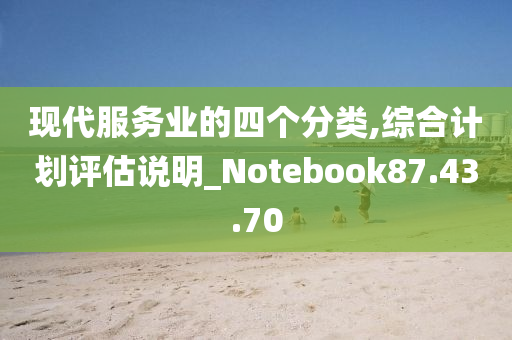 现代服务业的四个分类,综合计划评估说明_Notebook87.43.70