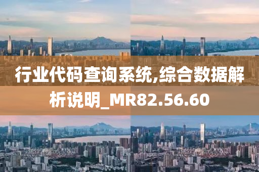 行业代码查询系统,综合数据解析说明_MR82.56.60