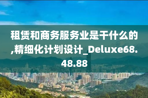 租赁和商务服务业是干什么的,精细化计划设计_Deluxe68.48.88