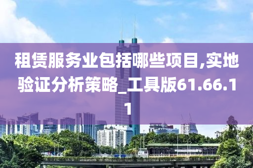 租赁服务业包括哪些项目,实地验证分析策略_工具版61.66.11