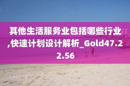 其他生活服务业包括哪些行业,快速计划设计解析_Gold47.22.56