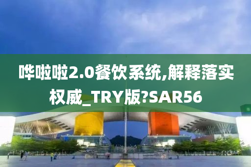 哗啦啦2.0餐饮系统,解释落实权威_TRY版?SAR56