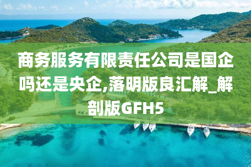 商务服务有限责任公司是国企吗还是央企,落明版良汇解_解剖版GFH5