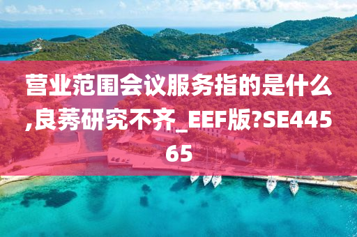 营业范围会议服务指的是什么,良莠研究不齐_EEF版?SE44565