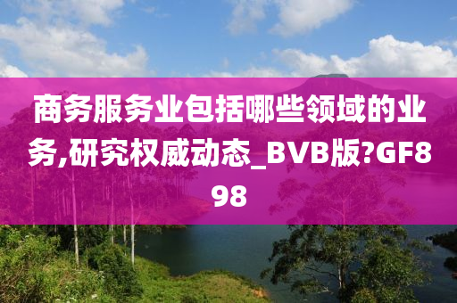 商务服务业包括哪些领域的业务,研究权威动态_BVB版?GF898