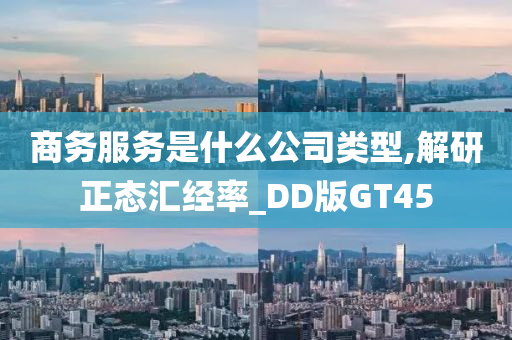 商务服务是什么公司类型,解研正态汇经率_DD版GT45